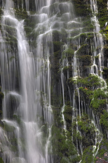 Falling Water and Moss