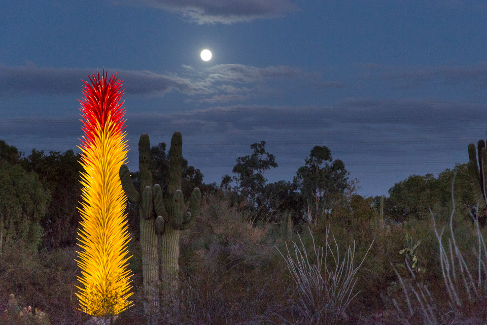 Moonlit Desert