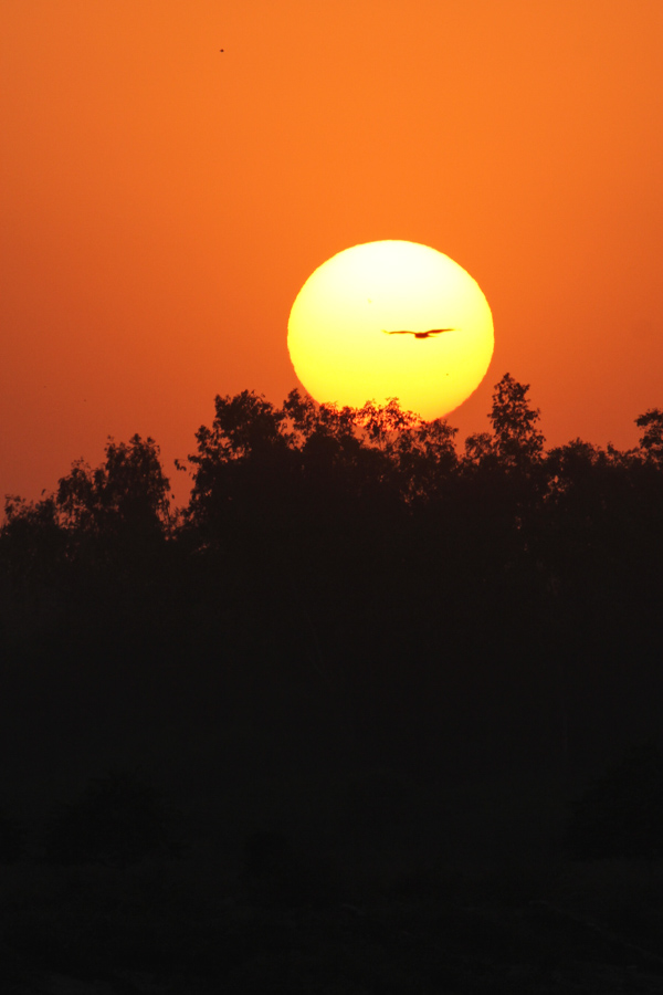 Sunset in India