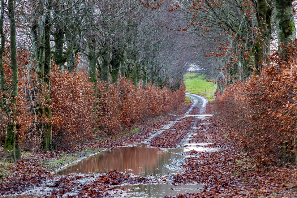 Muddy Lane