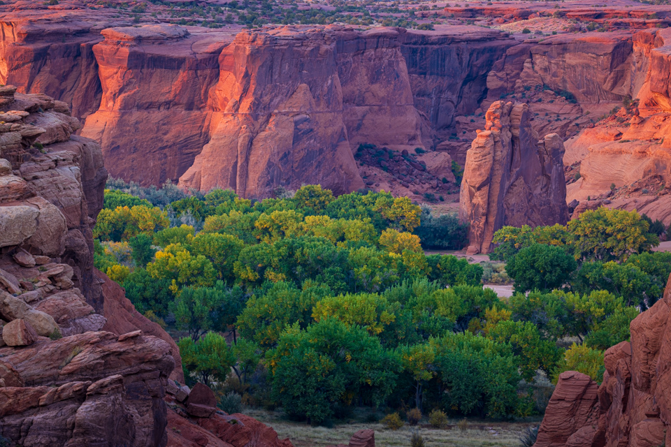 Tunnel Canyon