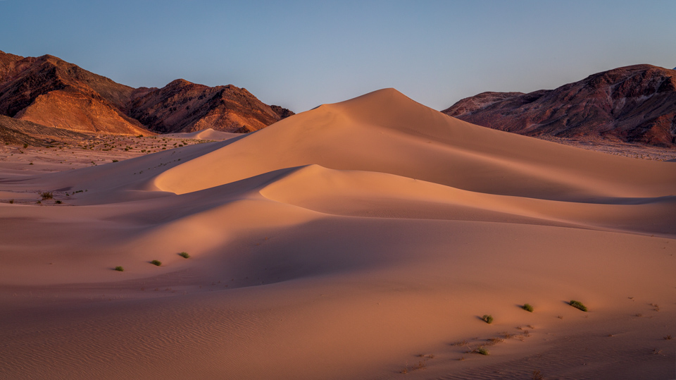 Pretty Dune